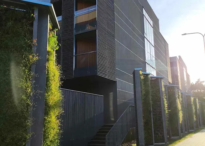 Daukanto Oaze Palanga